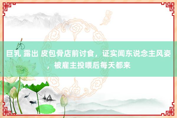 巨乳 露出 皮包骨店前讨食，证实闻东说念主风姿，被雇主投喂后每天都来