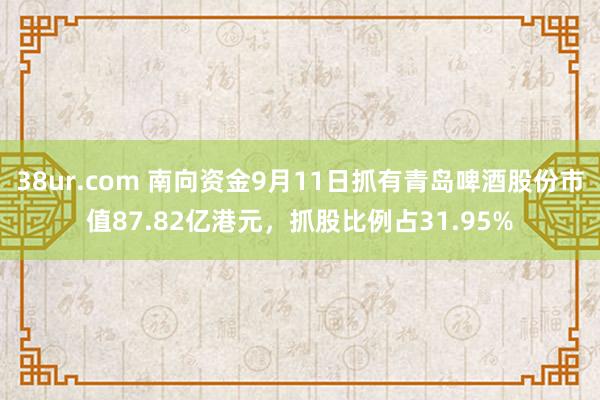 38ur.com 南向资金9月11日抓有青岛啤酒股份市值87.82亿港元，抓股比例占31.95%