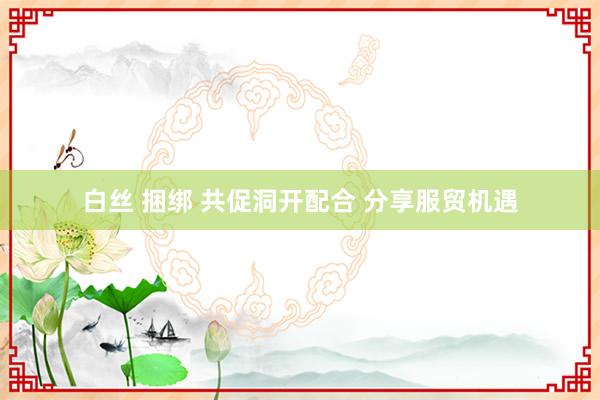 白丝 捆绑 共促洞开配合 分享服贸机遇