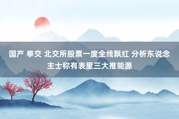 国产 拳交 北交所股票一度全线飘红 分析东说念主士称有表里三大推能源
