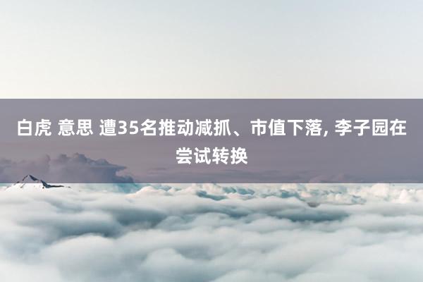 白虎 意思 遭35名推动减抓、市值下落， 李子园在尝试转换