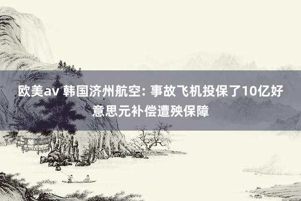 欧美av 韩国济州航空: 事故飞机投保了10亿好意思元补偿遭殃保障