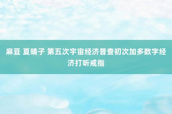 麻豆 夏晴子 第五次宇宙经济普查初次加多数字经济打听戒指