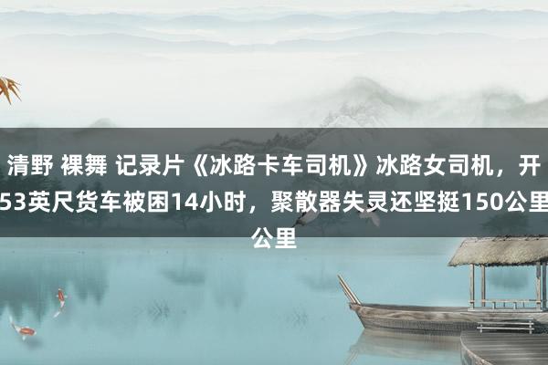 清野 裸舞 记录片《冰路卡车司机》冰路女司机，开53英尺货车被困14小时，聚散器失灵还坚挺150公里